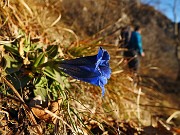 Anello Monte Ocone (1410 m) e Corna Camozzera (1452 m) dal Pertus (1300 m) il 5 gennaio 2015 - FOTOGALLERY